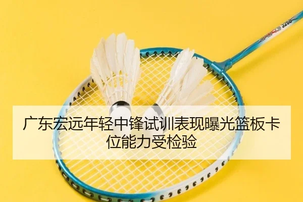 广东宏远年轻中锋试训表现曝光篮板卡位能力受检验